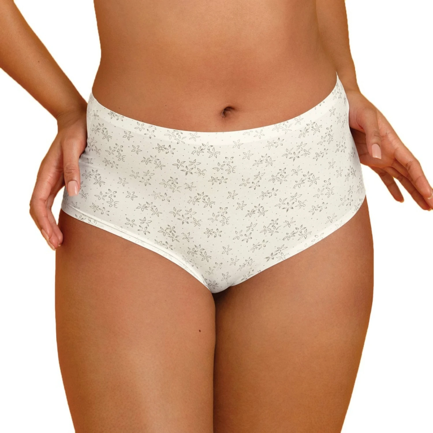 Culotte Taille Haute Anita Comfort Clara Art Crystal