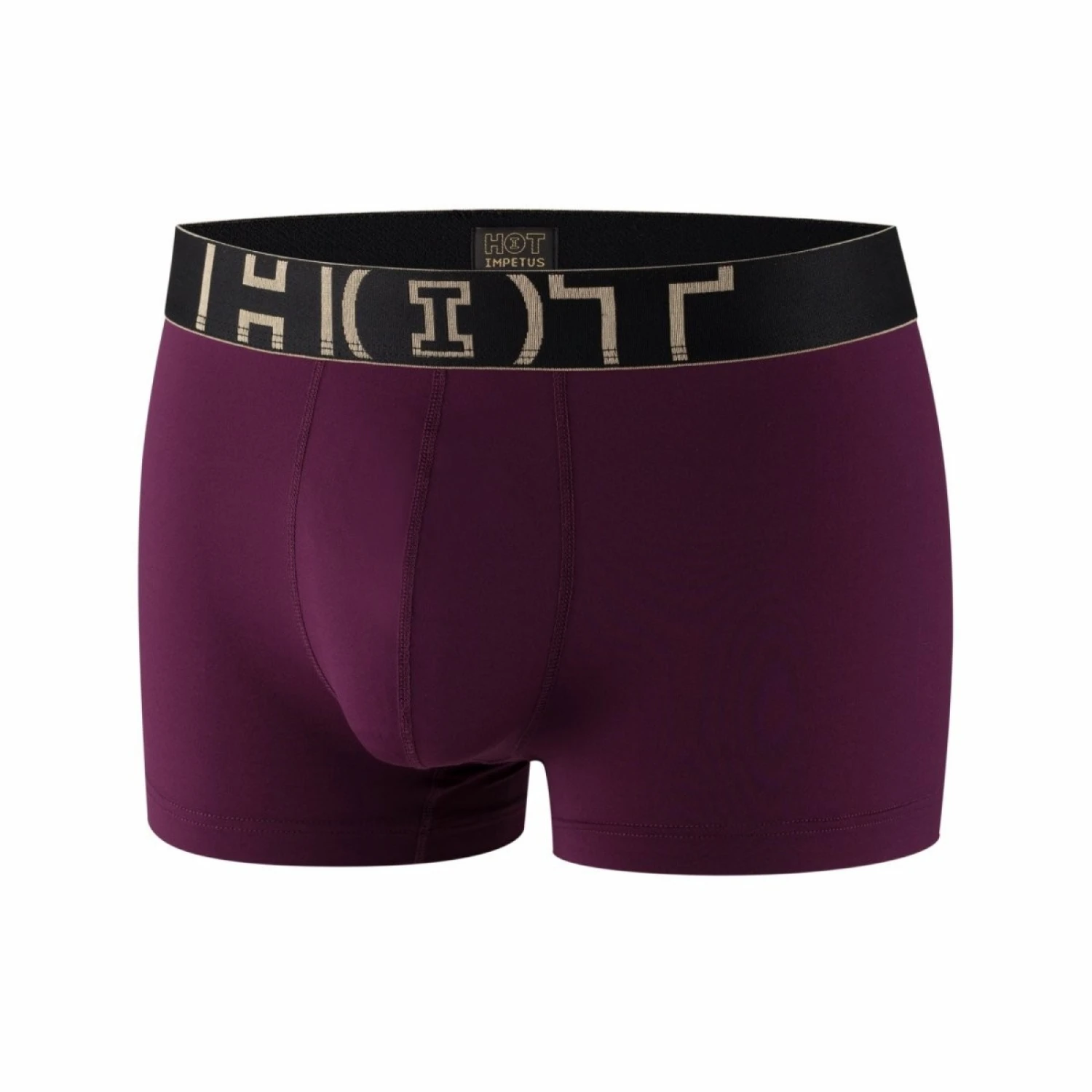 Pack 2 Boxers HOT Noir Et Violet En Polyamide â Image 3