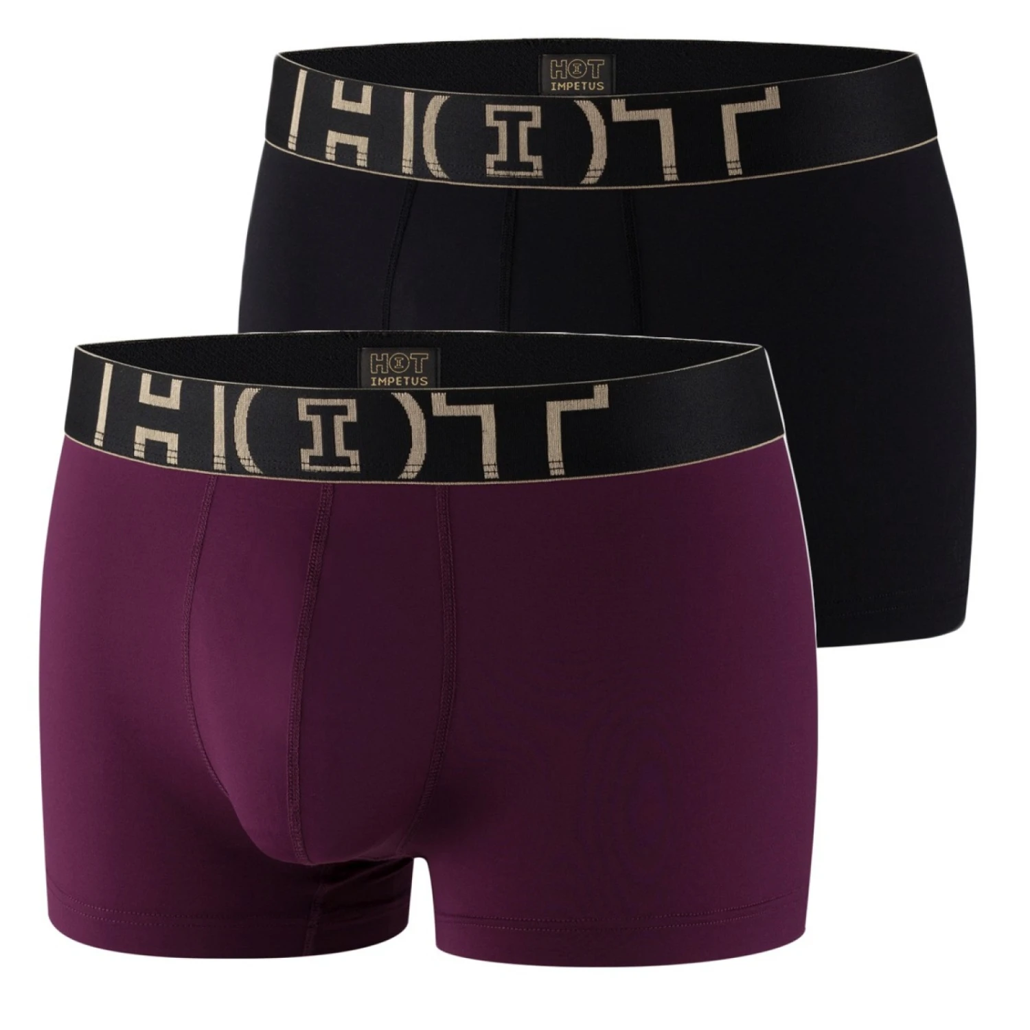 Pack 2 Boxers HOT Noir Et Violet En Polyamide